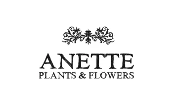 Anette Gift Card